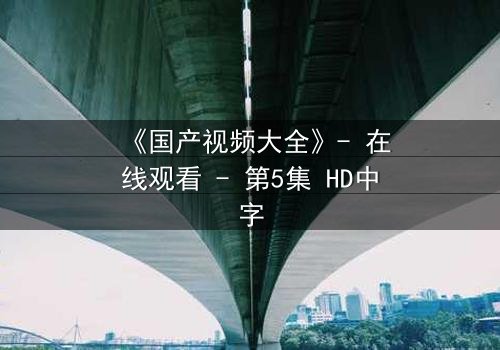 《国产视频大全》- 在线观看 - 第5集 HD中字