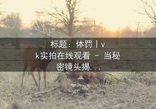标题:体罚丨vk实拍在线观看 - 当秘密镜头揭开人性最黑暗的角落