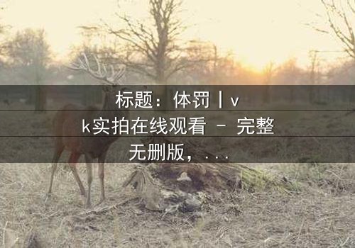 标题:体罚丨vk实拍在线观看 - 完整无删版,揭开禁忌真相的震撼之旅