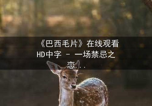《巴西毛片》在线观看HD中字 - 一场禁忌之恋的致命诱惑