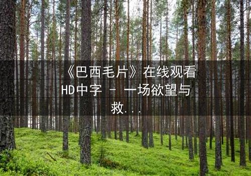 《巴西毛片》在线观看HD中字 - 一场欲望与救赎的致命游戏