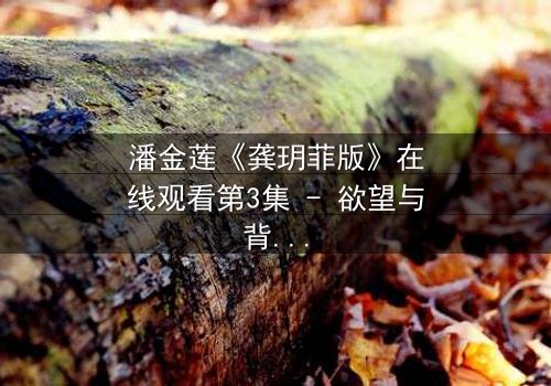 潘金莲《龚玥菲版》在线观看第3集 - 欲望与背叛的终极对决