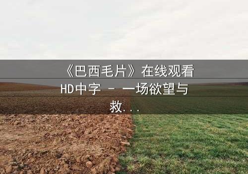 《巴西毛片》在线观看HD中字 - 一场欲望与救赎的致命游戏