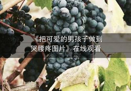 《把可爱的男孩子做到哭腰疼图片》在线观看 - 当纯真与欲望碰撞,泪水与疼痛交织的禁忌之恋