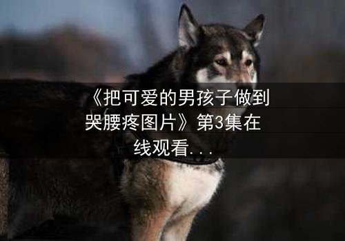 《把可爱的男孩子做到哭腰疼图片》第3集在线观看 - 真相背后隐藏的惊天秘密