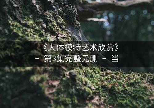 《人体模特艺术欣赏》- 第3集完整无删 - 当艺术与欲望的界限模糊时