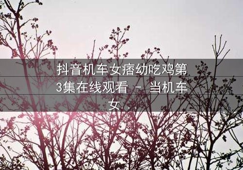 抖音机车女痞幼吃鸡第3集在线观看 - 当机车女神变身战场女王,谁能阻挡她的疯狂逆袭?