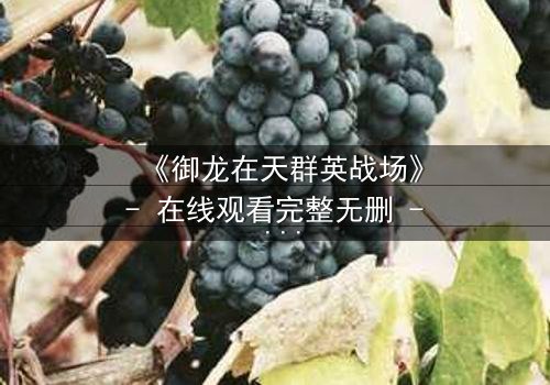 《御龙在天群英战场》- 在线观看完整无删 - 揭秘隐藏的背叛与荣耀之战