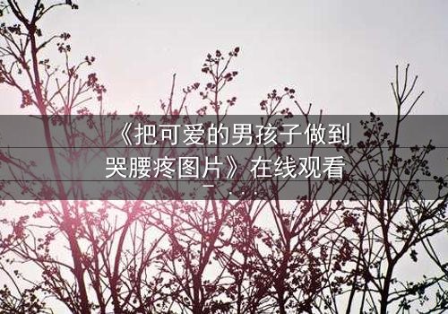 《把可爱的男孩子做到哭腰疼图片》在线观看 - 当纯真被撕裂,泪水与疼痛交织的禁忌之恋