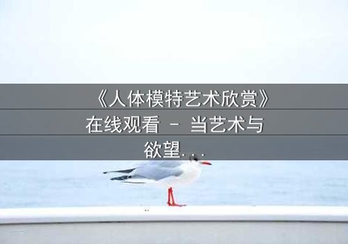 《人体模特艺术欣赏》在线观看 - 当艺术与欲望交织,谁在凝视谁?