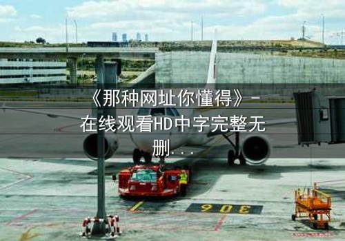 《那种网址你懂得》- 在线观看HD中字完整无删 - 揭开网络迷踪的惊悚真相