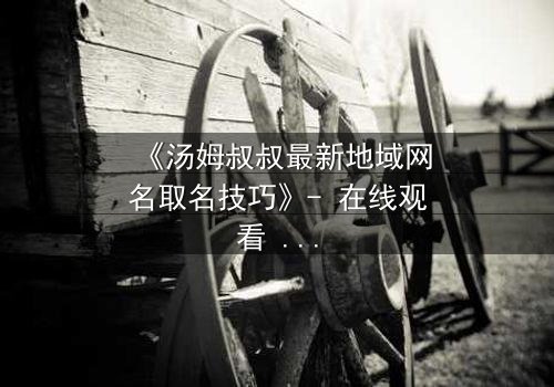 《汤姆叔叔最新地域网名取名技巧》- 在线观看 - 揭秘网络身份背后的惊天秘密