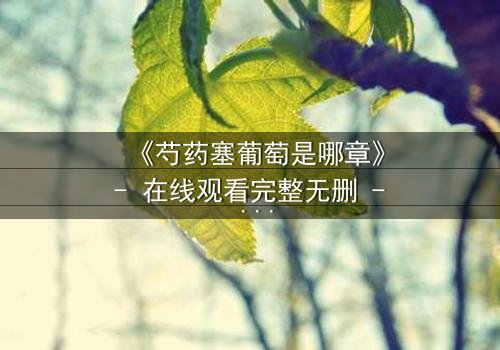 《芍药塞葡萄是哪章》- 在线观看完整无删 - 揭秘那场禁忌之恋的爆发点