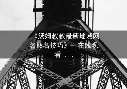 《汤姆叔叔最新地域网名取名技巧》- 在线观看 - 揭秘网络身份背后的惊天秘密
