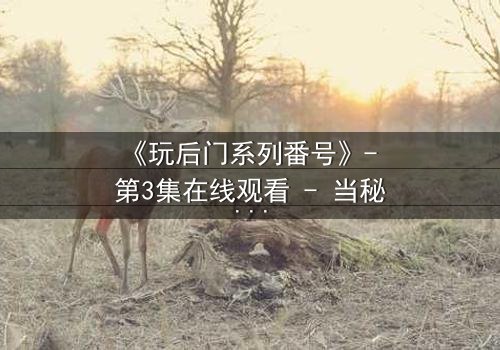 《玩后门系列番号》- 第3集在线观看 - 当秘密成为生存的唯一筹码