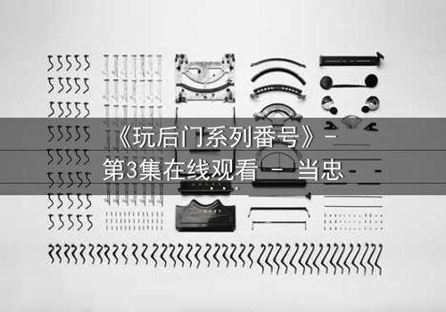 《玩后门系列番号》- 第3集在线观看 - 当忠诚与欲望在暗门后激烈碰撞