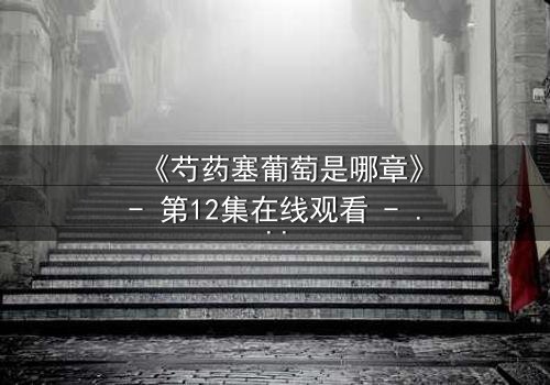 《芍药塞葡萄是哪章》- 第12集在线观看 - 一场禁忌之恋的终极爆发