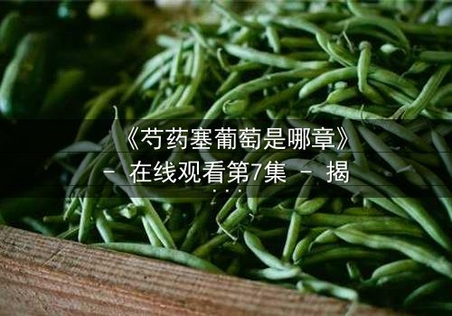 《芍药塞葡萄是哪章》- 在线观看第7集 - 揭开禁忌之恋的隐秘篇章