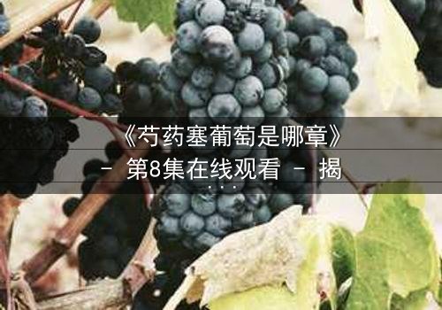 《芍药塞葡萄是哪章》- 第8集在线观看 - 揭开禁忌之恋的隐秘真相