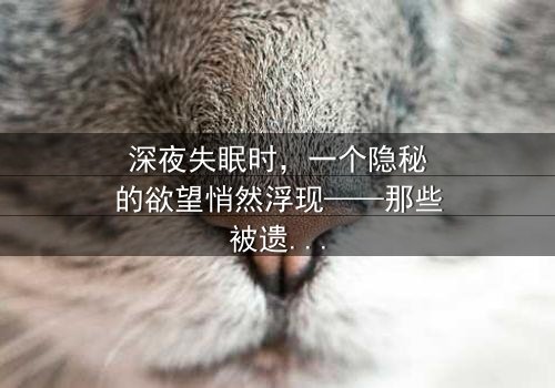 深夜失眠时,一个隐秘的欲望悄然浮现——那些被遗忘的片段里,藏着让人心碎又沉迷的影像世界。