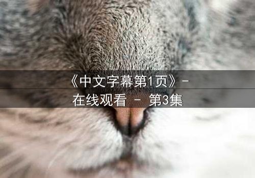 《中文字幕第1页》- 在线观看 - 第3集