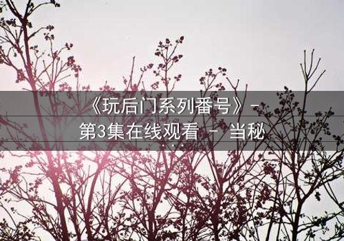 《玩后门系列番号》- 第3集在线观看 - 当秘密成为生存的唯一筹码