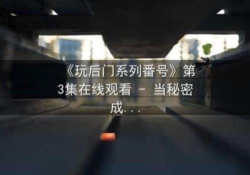 《玩后门系列番号》第3集在线观看 - 当秘密成为生存的唯一筹码