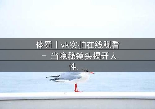 体罚丨vk实拍在线观看 - 当隐秘镜头揭开人性最黑暗的角落